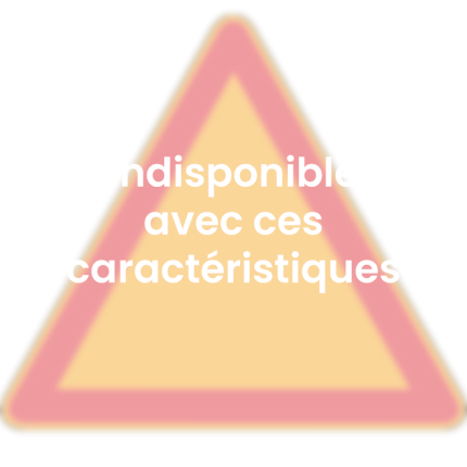 indisponible-avec-ces-caracteristiques-2_1783892016