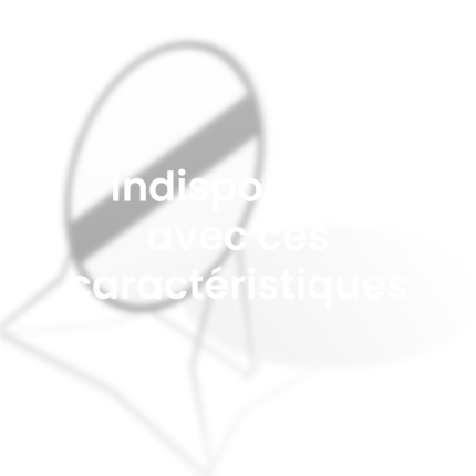 panneau-indisponible-type-b31-fin-obligation-alinea-boutique_351465548