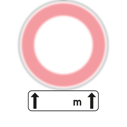 vierge-m2-type-m-panonceaux-type-distance-en-m-direction-concernee-rond-alinea-boutique_1325631454